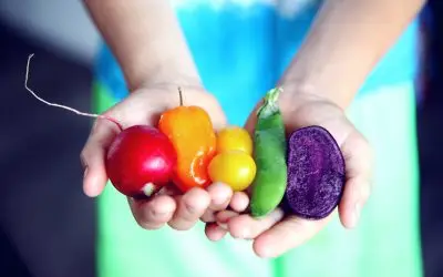 Increased Variety for Instant Vitality – Take on Diet Diversity Challenge
