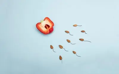 Sustenance for PCOS – 7 Supportive Strategies to Embrace Today.