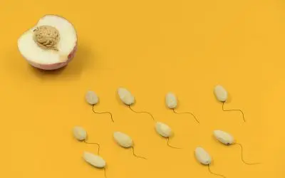 Fasting, Feeding & Supplementing For Your Menstrual Cycle – Part 3